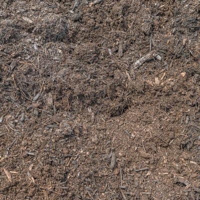 Mushroom Compost