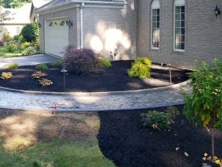 Plantings Sample