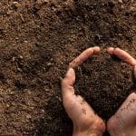 hands holding top soil